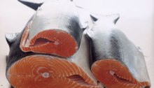 pacific-farmed-salmon